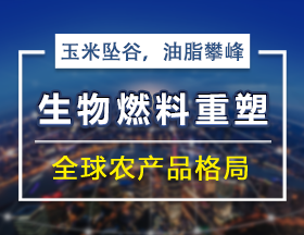 玉米墜谷，油脂攀峰：生物燃料重塑全球農(nóng)產(chǎn)品格局